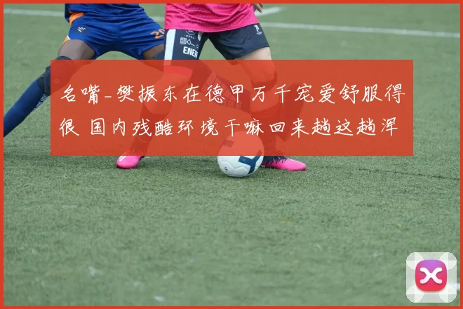 名嘴_樊振东在德甲万千宠爱舒服得很 国内残酷环境干嘛回来趟这趟浑水