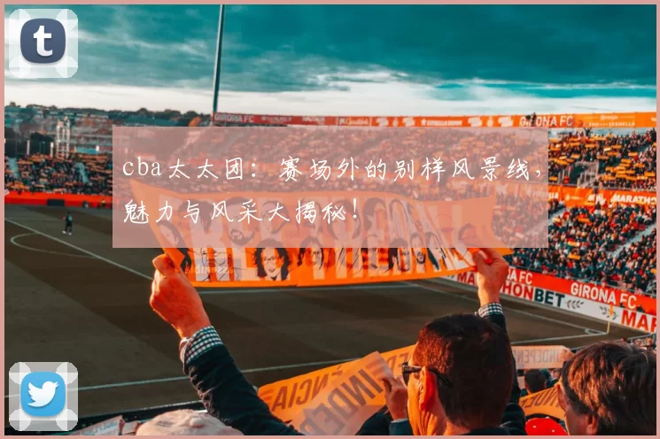 cba太太团:赛场外的别样风景线,魅力与风采大揭秘!