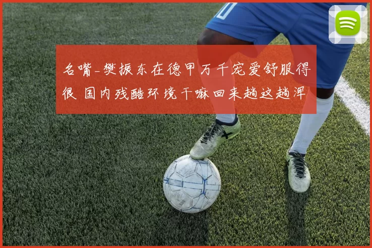 名嘴_樊振东在德甲万千宠爱舒服得很 国内残酷环境干嘛回来趟这趟浑水